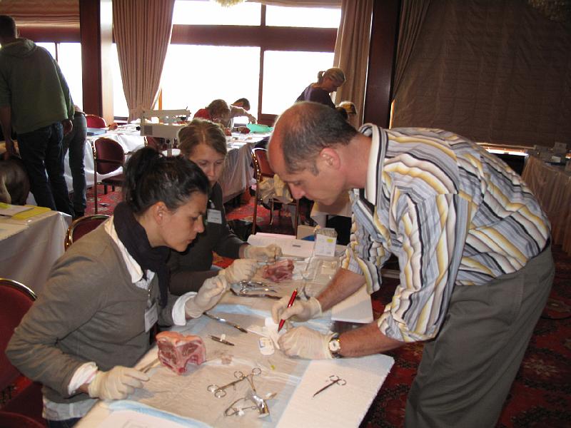 IMG_0600.JPG